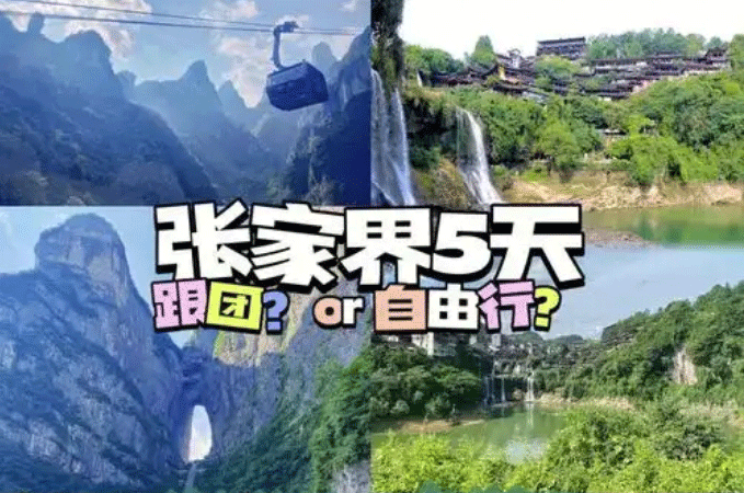 春節(jié)去張家界報團旅游哪個旅行社好？跟團游和自由行哪個好！